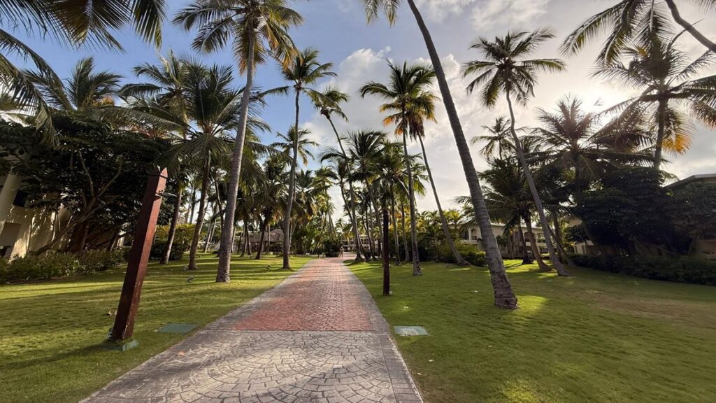Beautiful vie on palm trees at Impressive Punta Cana