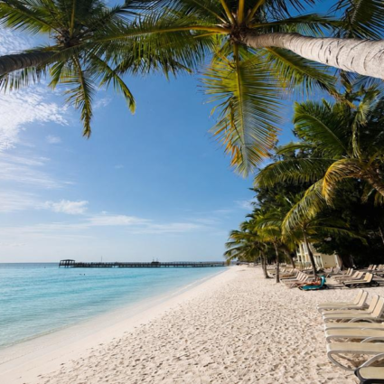 Beautiful beach at Impressive Punta Cana