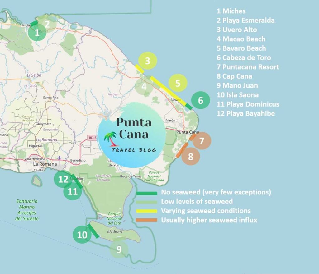 Punta Cana seaweed and sargassum map with the different beaches