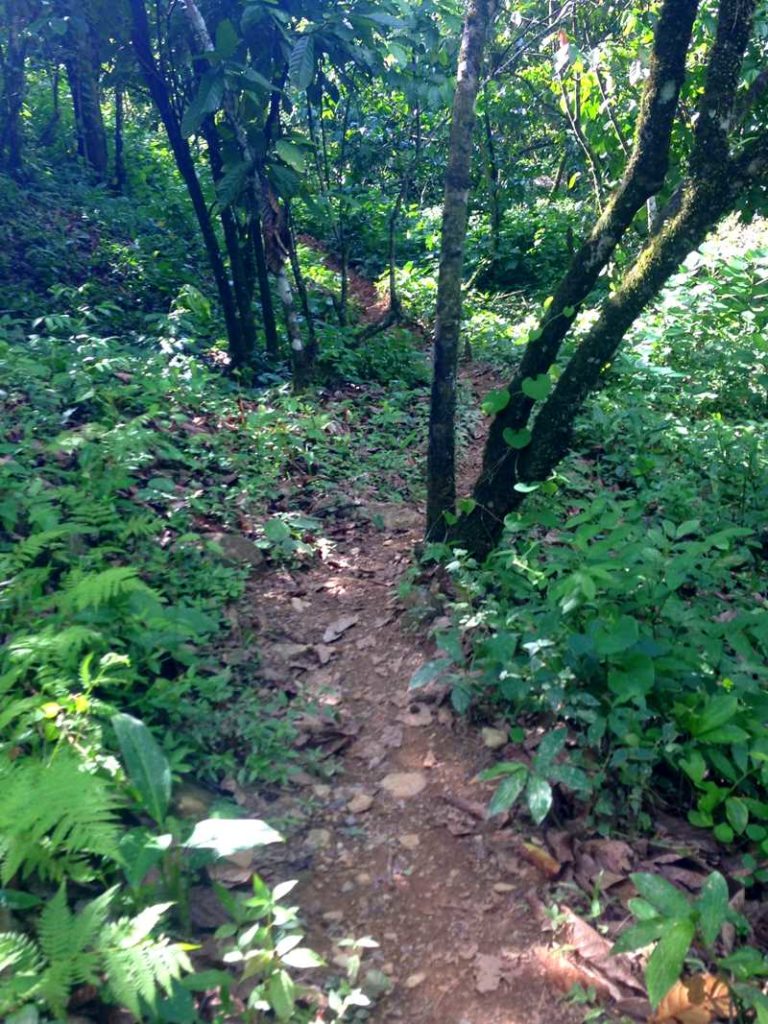 Hike to Salto de la Jalda, the highest waterfall in the Caribbean