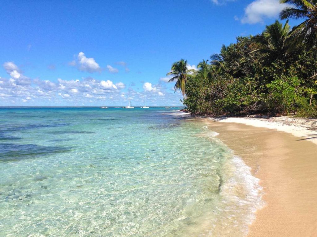 The one and only Isla Saona, the most popular excursion in Punta Cana and the Dominican Republic