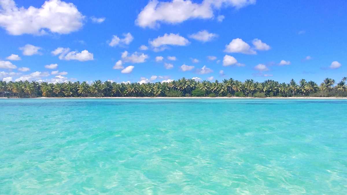 The one and only Isla Saona, the most popular excursion in Punta Cana and the Dominican Republic