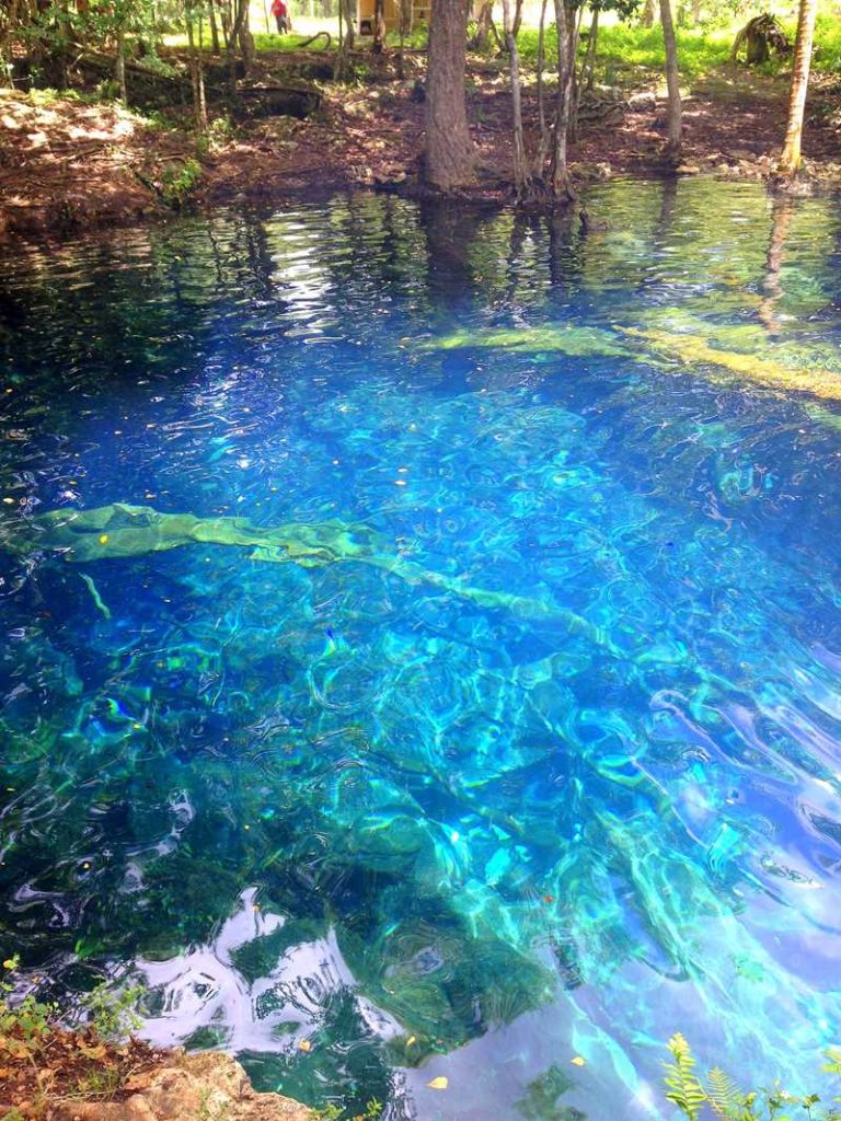 Hoyo Claro, a hidden freshwater lagoon in the area of Punta Cana