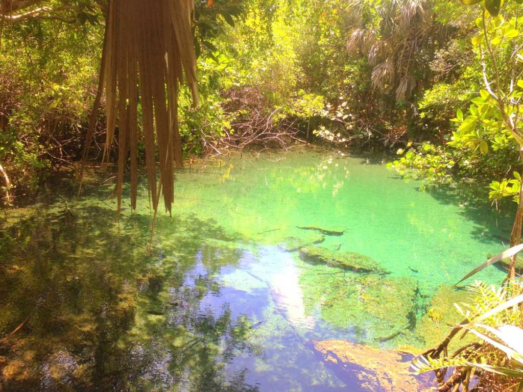 Los Ojos indigenas, some secret lagoons in the south of Punta Cana