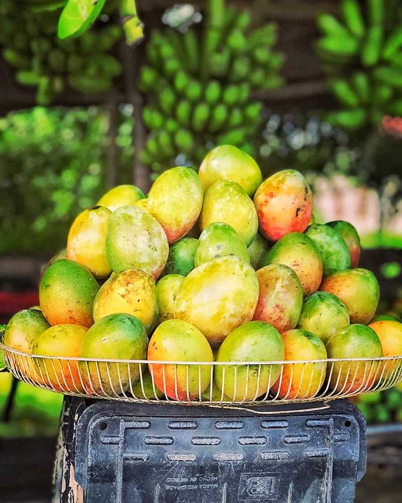 Delicious Dominican Mangos in Baní