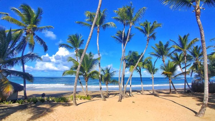 The beach in Uvero Alto, an area very north of Punta Cana