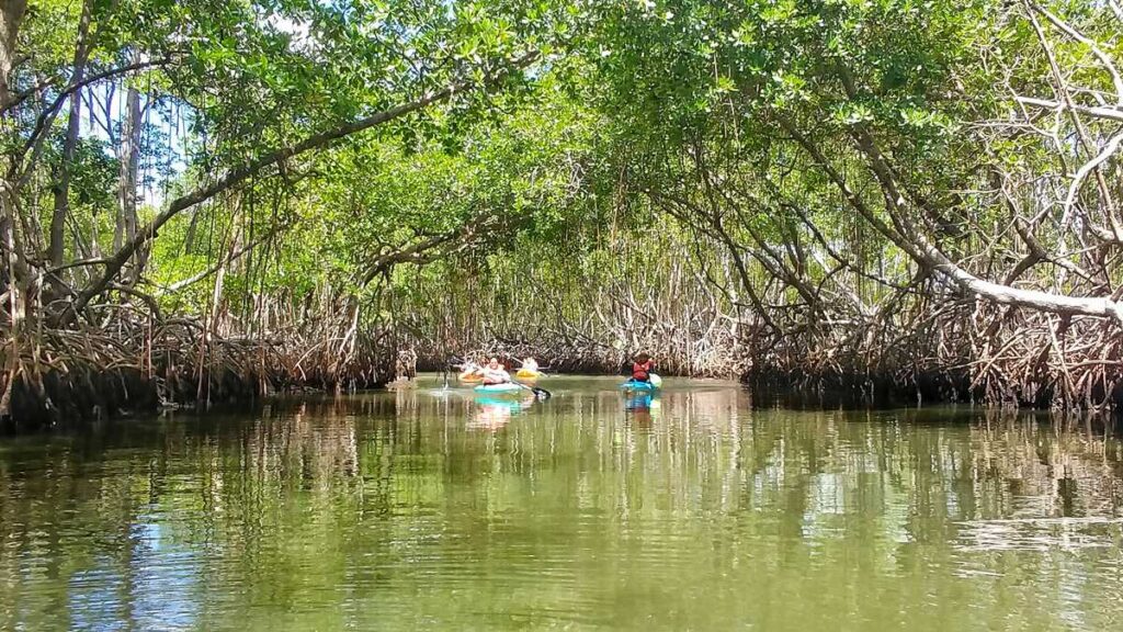 Kayaking at Los Haitises National Park in Los Haitises