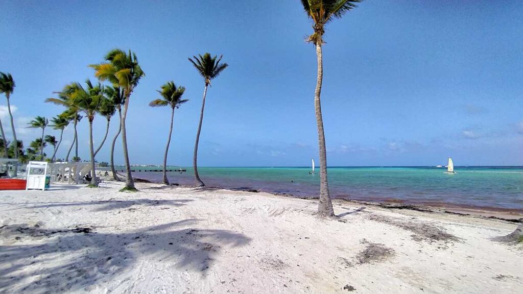 Juanillo Beach in Cap Cana with seaweed and sargassum