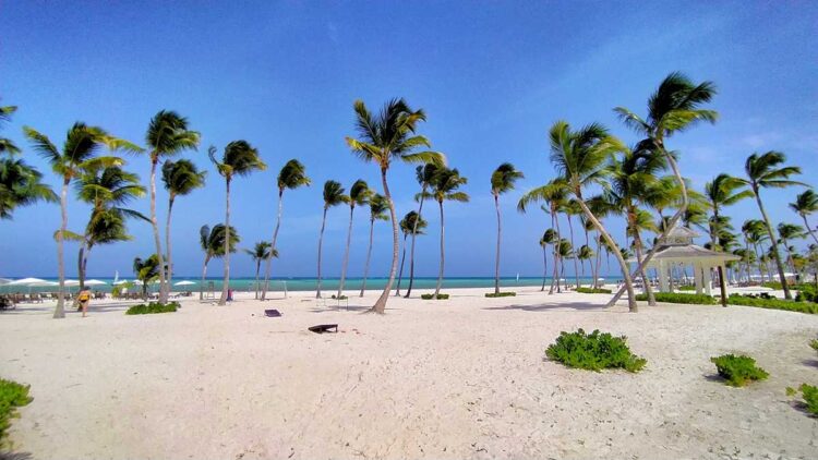 The beach of Hyatt Ziva Cap Cana