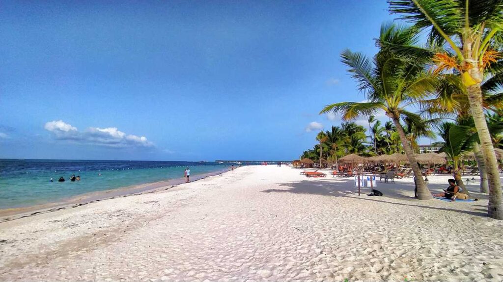 Bavaro Beach during seaweed season