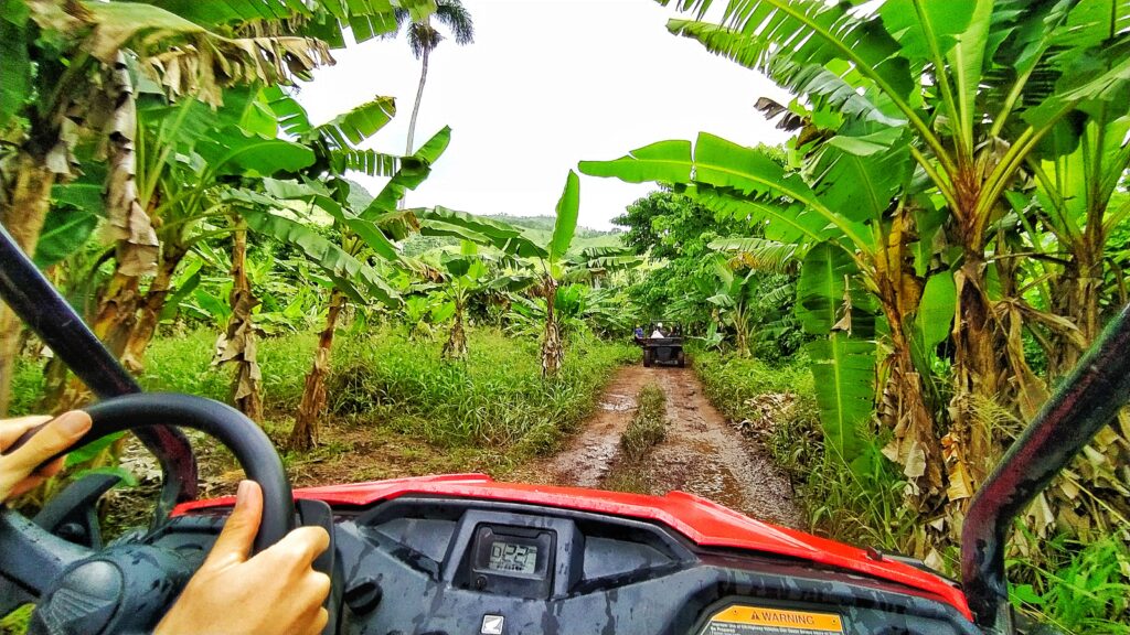 ATV adventure and dune buggy tour in Punta Canas Anamuya Mountains