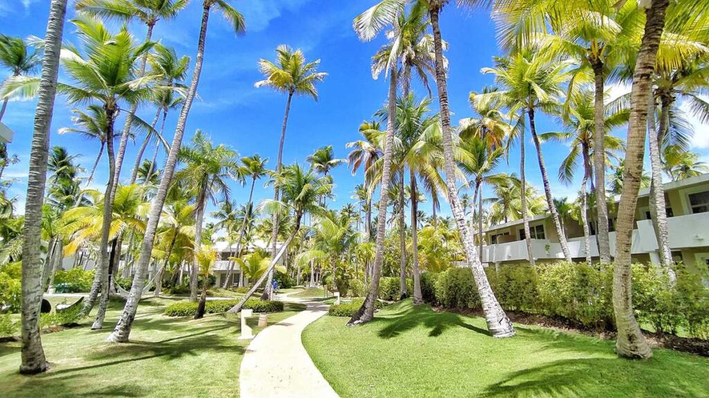 Wonderful tropical gardens at Melia Punta Cana Beach Resort Adults Only