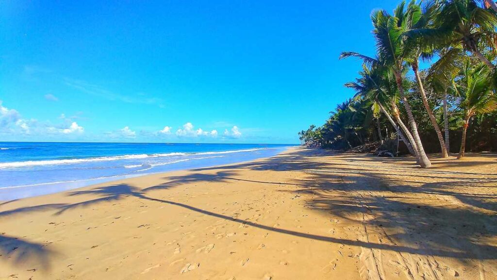 The Scenic Beach Views at Zoetry Punta Cana