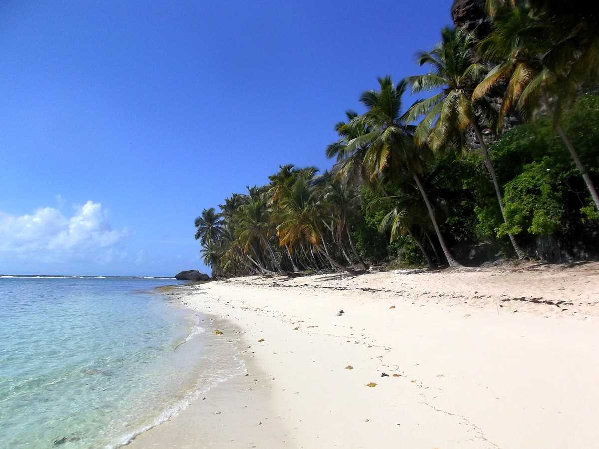 The 22 most beautiful beaches in Samaná | Punta Cana Travel Blog