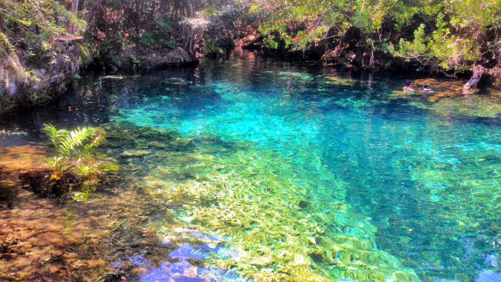 Los Ojos Indigenas, a collection of cenotes in Punta Cana