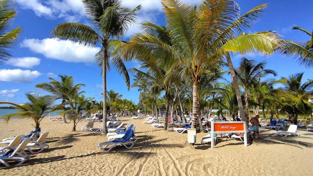 view of the beach at Viva Miches