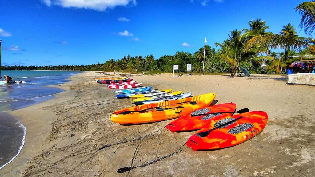 Kayaks and stand-up paddleboards (SUPs) on the beach