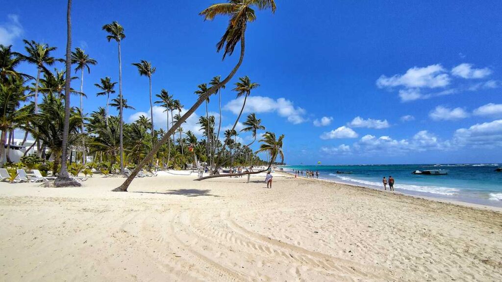 Beachfront and palm trees at Riu Palace Bavar