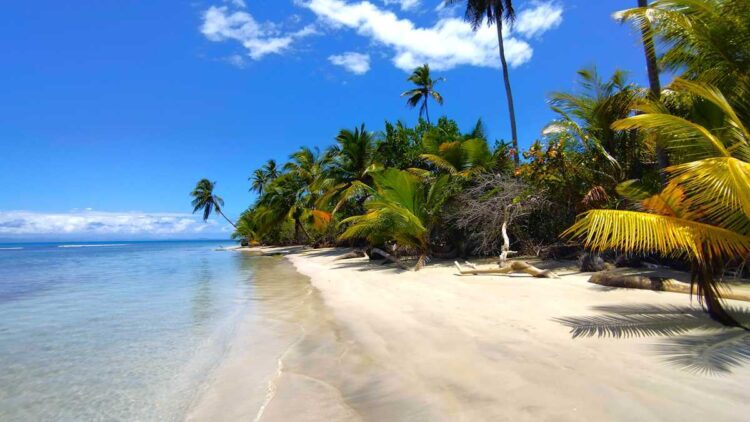 Wonderful pristine beaches in the Dominican Republic close to Miches
