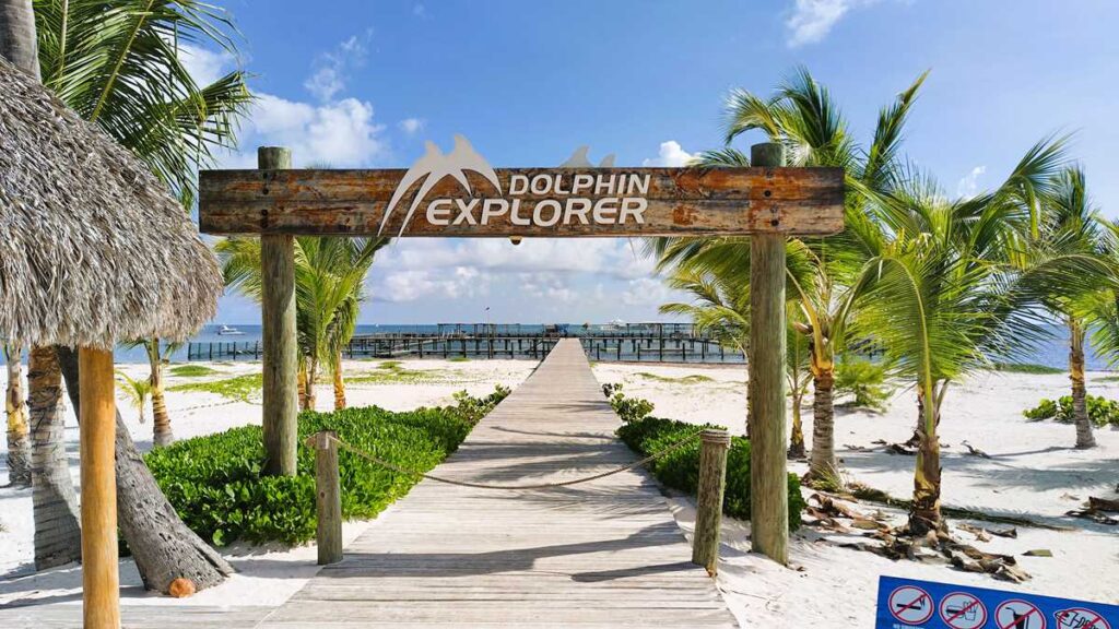 Dolphin Explorer in the Dominican Republic