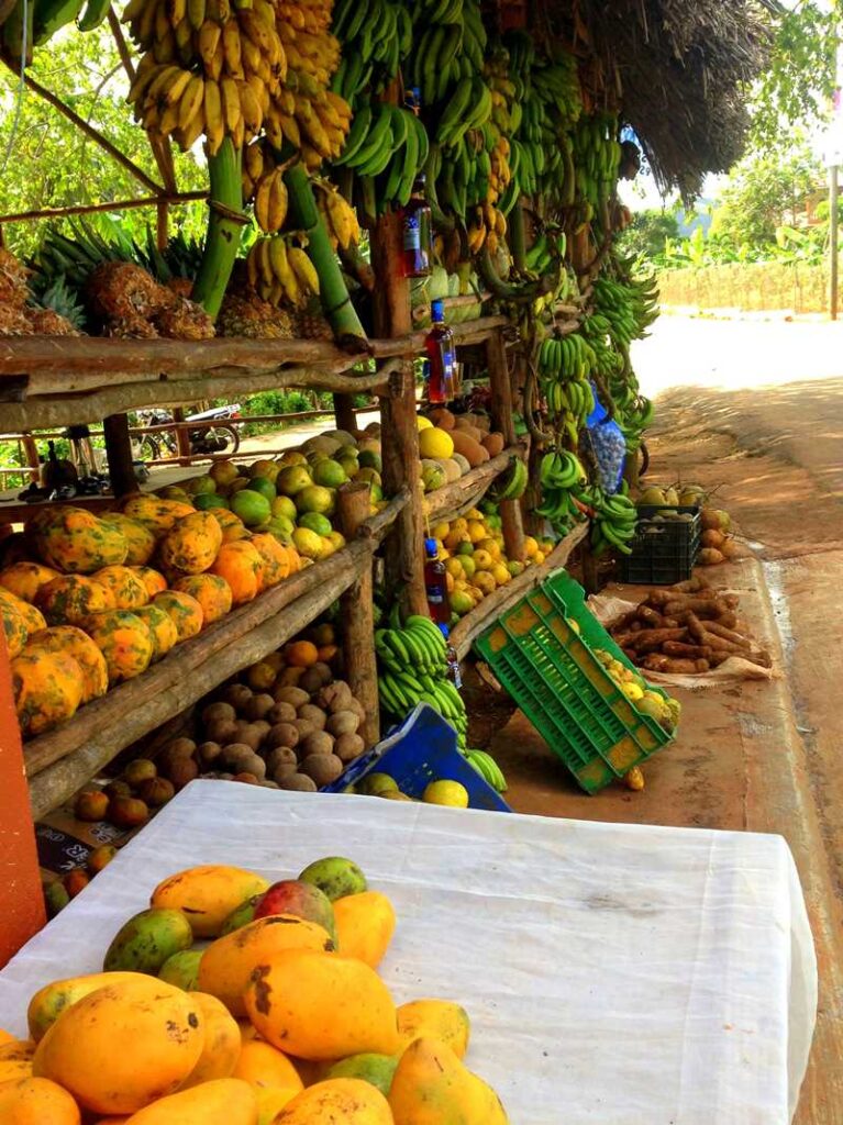 Delicious tropical fruits right on the road when driving in Samana