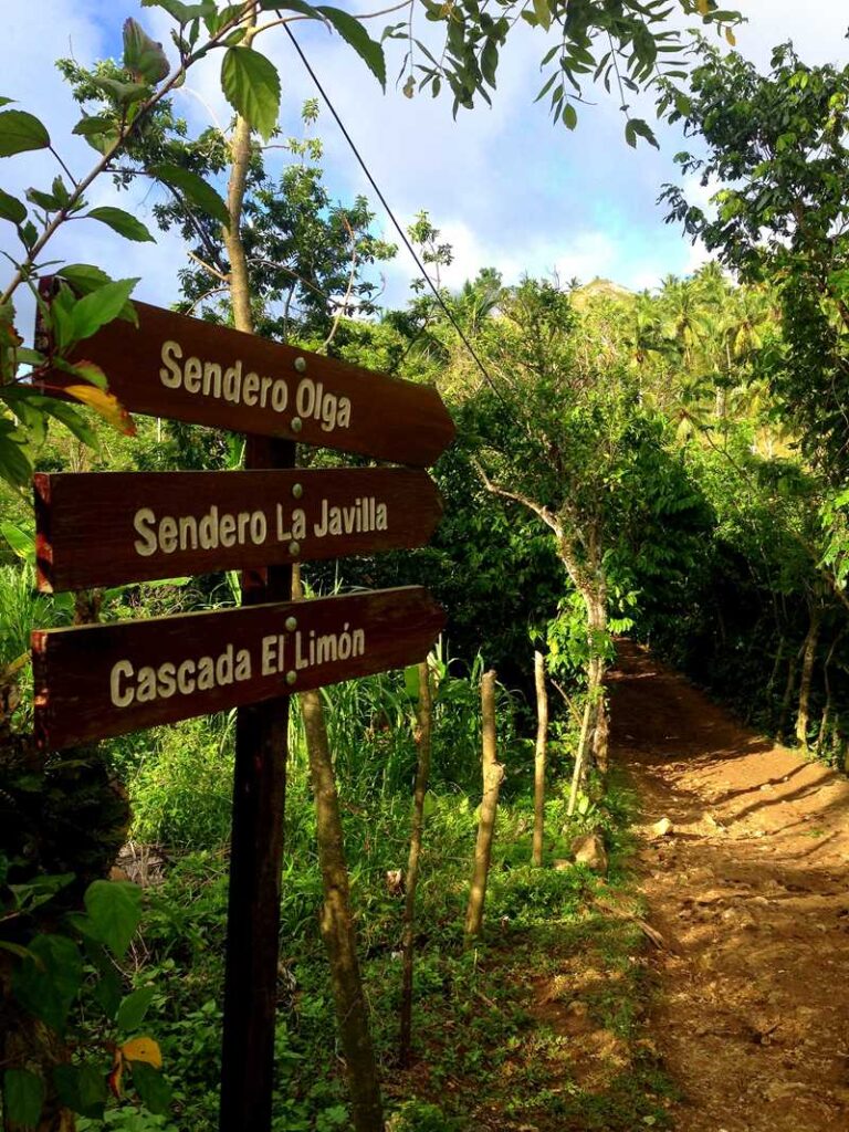 Hike to the waterfall of Salto El Limon on the Samaná peninsula