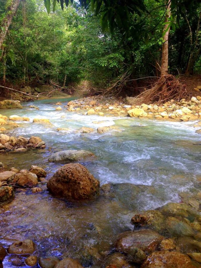 Hike to the waterfall of Salto El Limon on the Samaná peninsula