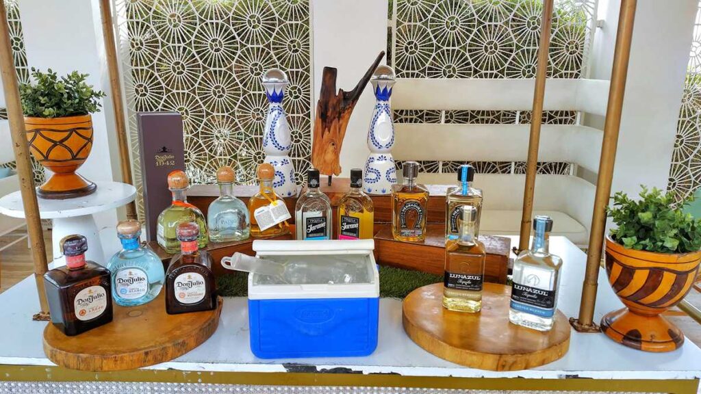 Themed cocktail workshop afternoon at Paradisus Grand Cana