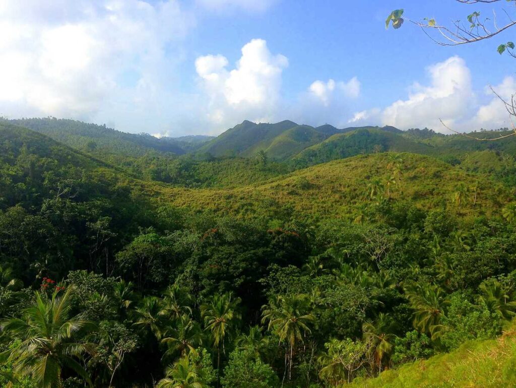 Lush and abundant scenery on the hike to Salto El Limon