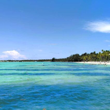 The coastline at Punta Cana Barceló Bavaro Palace Resort