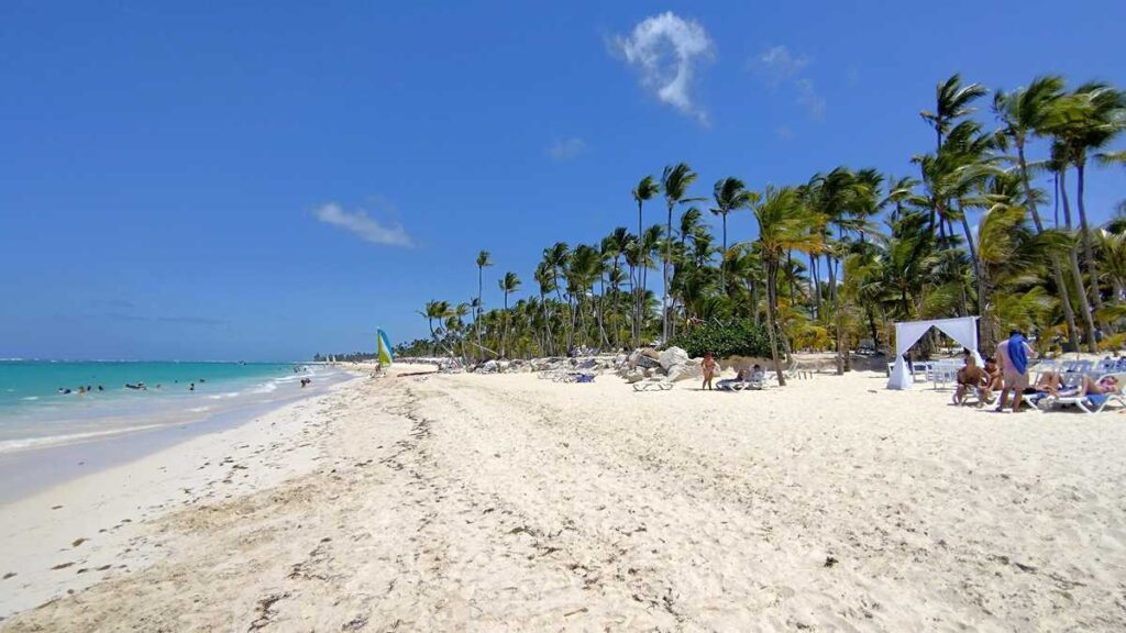 The scenic view of sandy beach, palm trees, and turquoise sea at Riu Palace Bavaro Beach