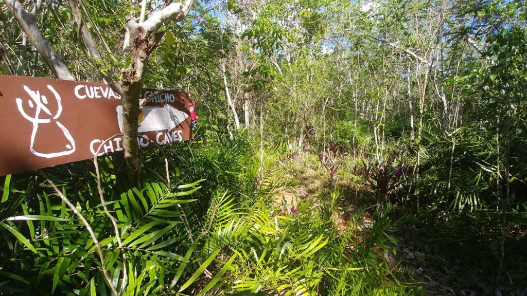 The hiking trail Sendero Padre Nuestro to the caves of chicho in Bayahibe