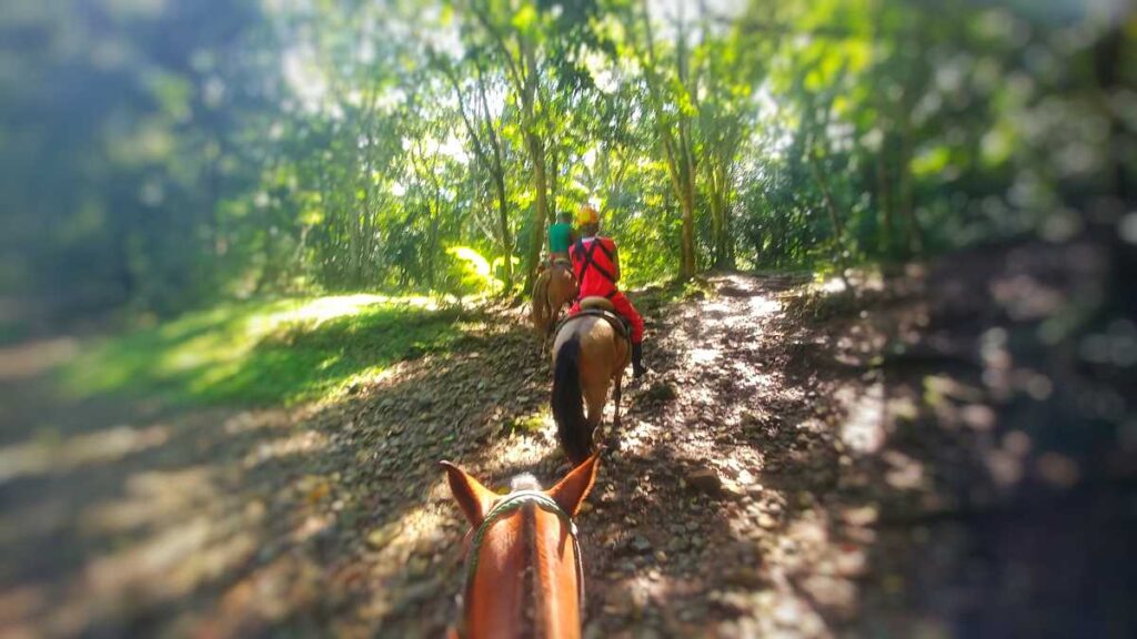 Horseback Riding at Cueva Fun Fun