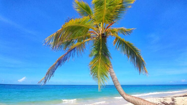 Beach at RIU Resort in Punta Cana, Arena Gorda Beach