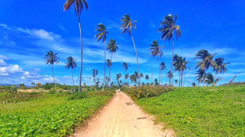 Dune Buggy Excursion in Punta Cana with Xtreme Buggy Adventures