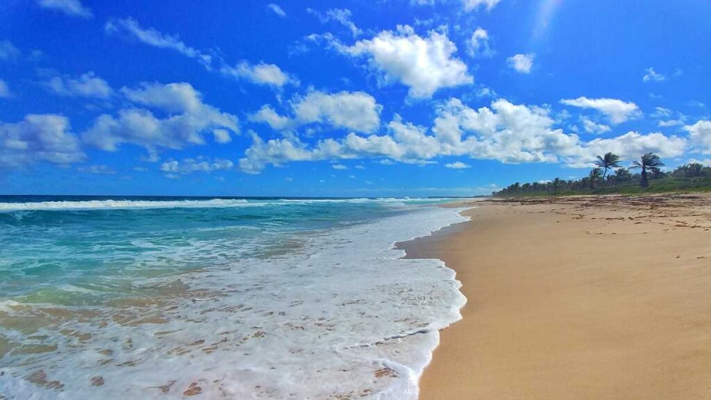 The pristine section of Arena Gorda Beach, one of the virgin beaches of Punta Cana