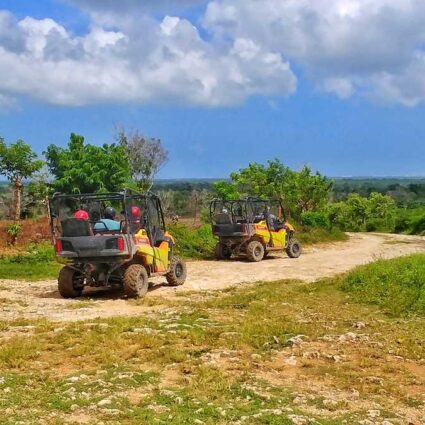 Polaris excursion in Punta Cana - buggy-style