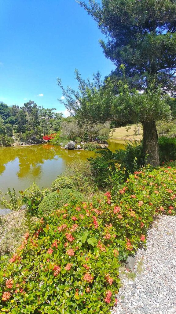 The Botanical Garden in Santo Domingo