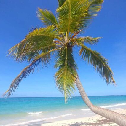 Playa Arena Gorda in Punta Cana, Dominican Republic