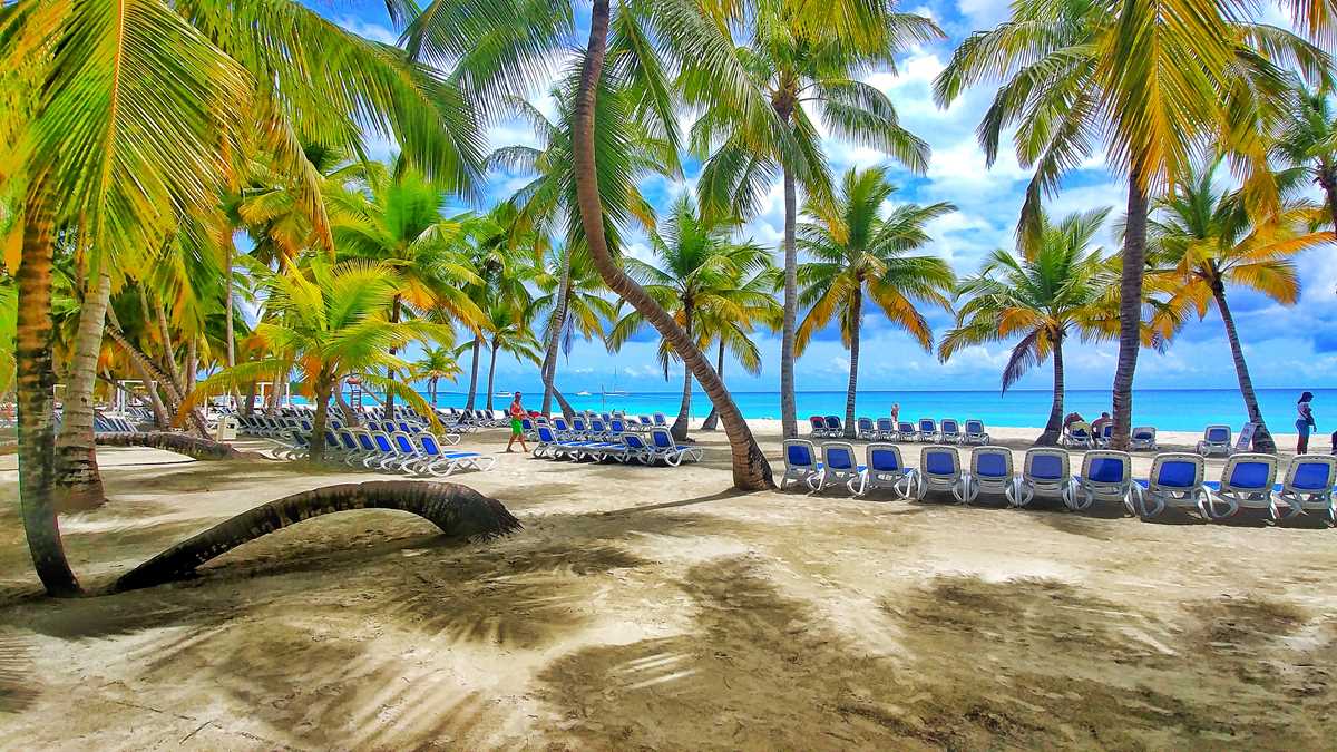 Beautiful Isla Saona beach in the Dominican Republic