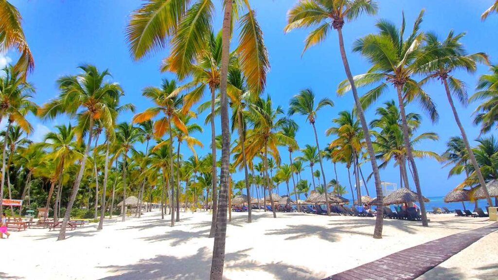 The gorgeous and beautiful beach section of Catalonia Bavaro Beach in Punta Cana