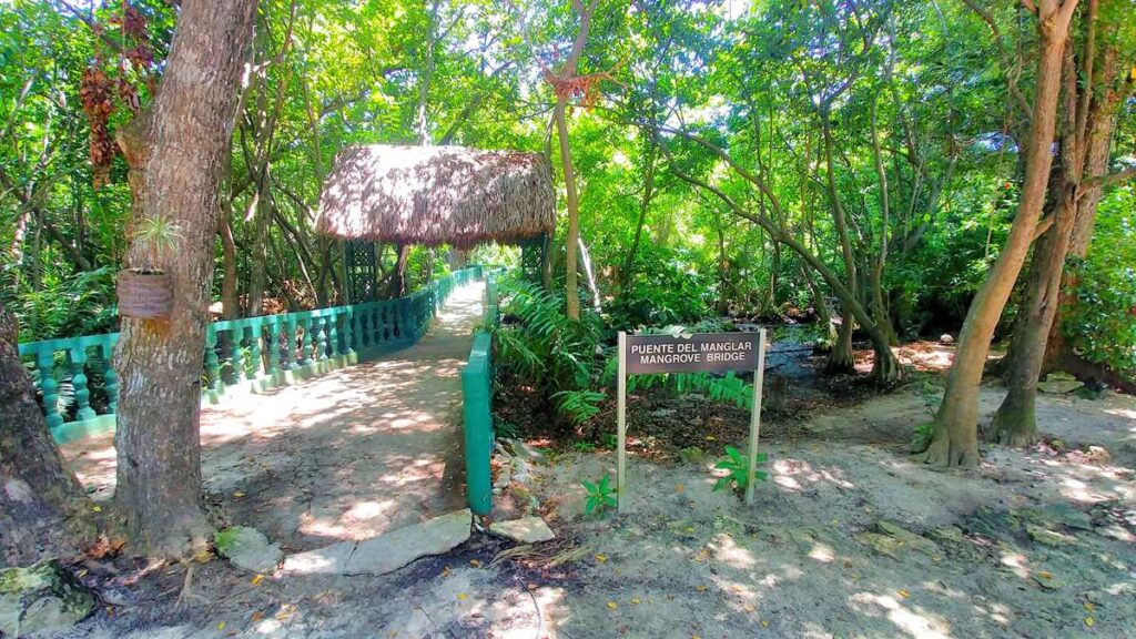 An ecological hike at one of Punta Canas' all-inclusive resorts, Grand Bavaro Princess