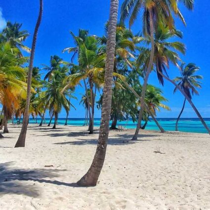 One of the best beaches in the Dominican Republic, Canto de la Playa - which can be reached by a few selected Isla Saona excursions