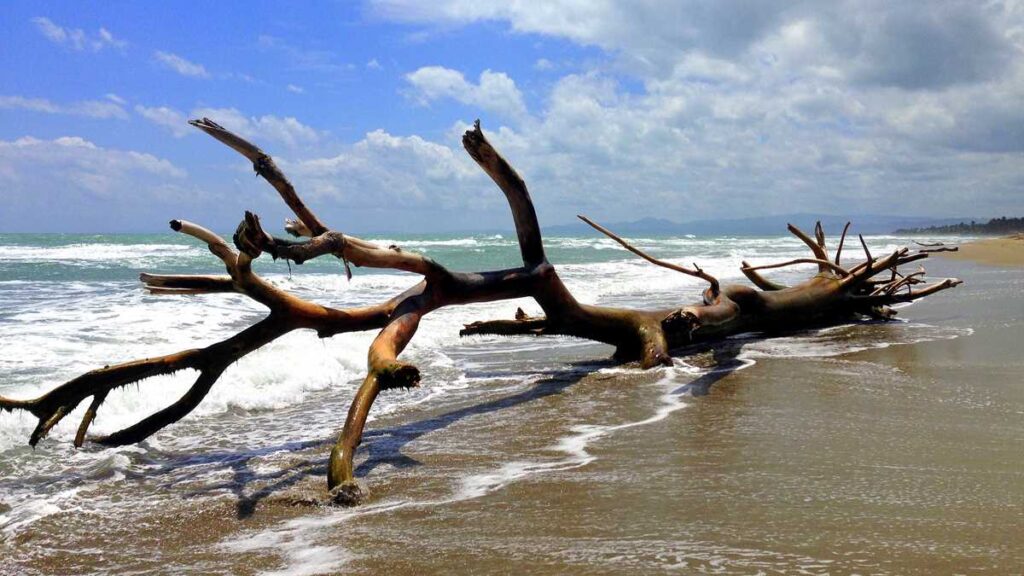 Wild beaches in Cabarete, Dominican Republic