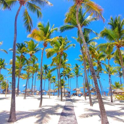 Amazing beach in Cabeza de Toro at Catalonia Punta Cana All-Inclusive Resort