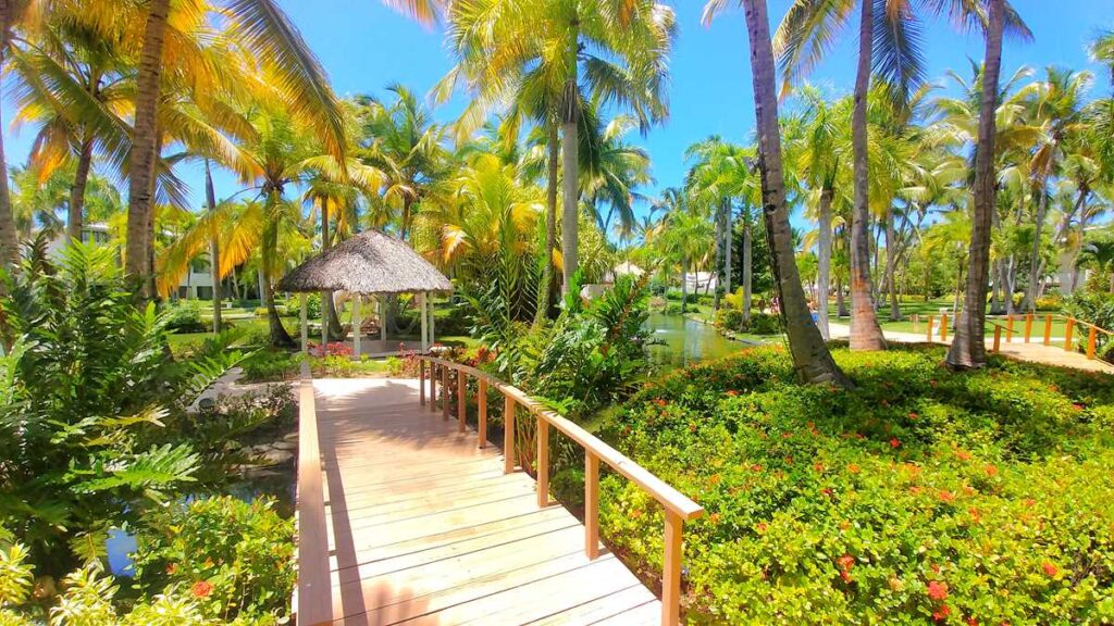 Beautiful vegetation and lush scenery at Catalonia Punta Cana Resort