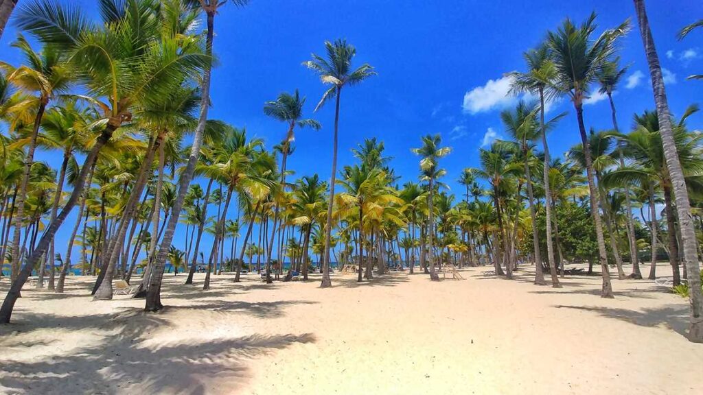 The wonderful Arena Gorda Beach at Riu Palace Macao in Punta Cana