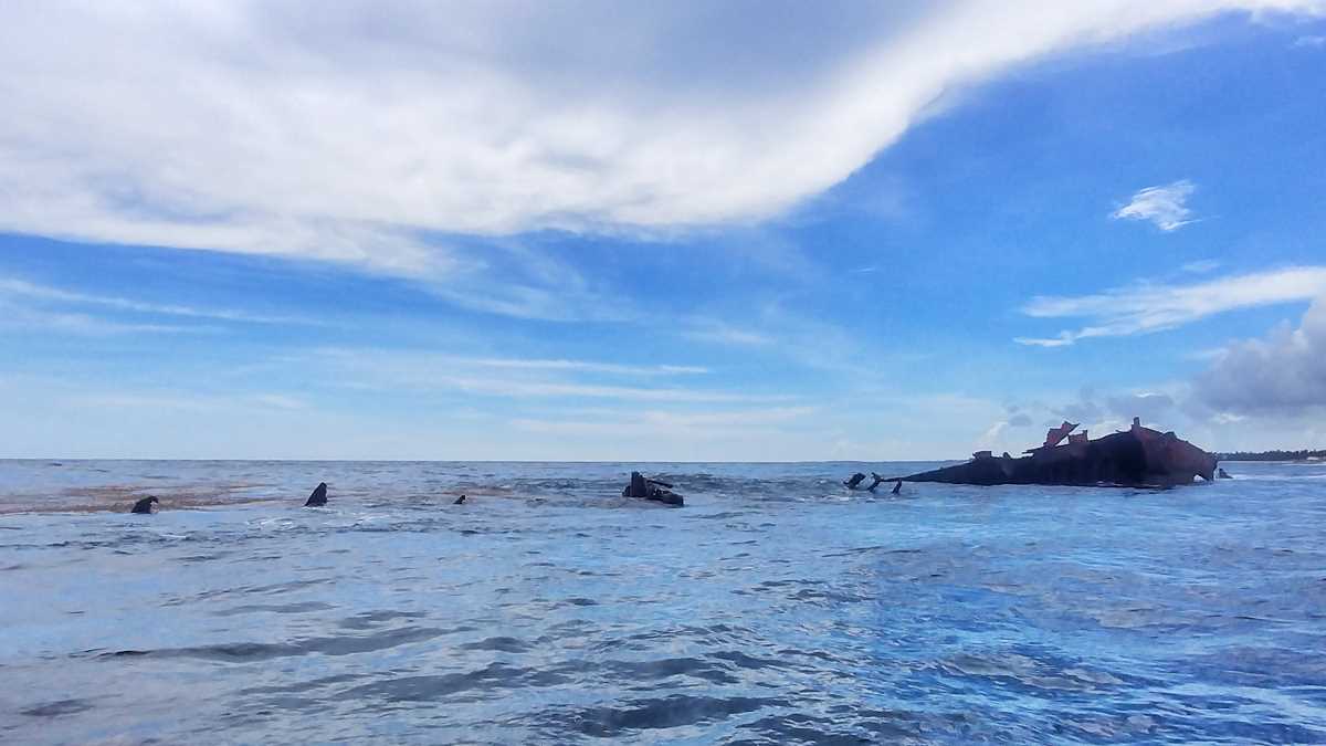 Scuba Diving in Punta Cana your full guide with the best dive sites