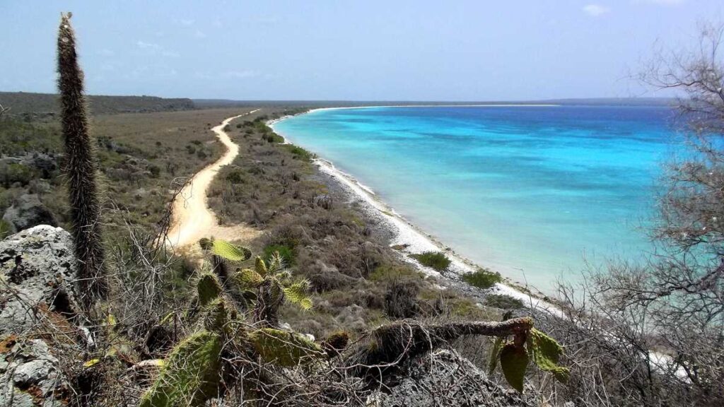 The amazing and gorgeous Bahia de las Aguilas, one of the best beaches in the Dominican Republic