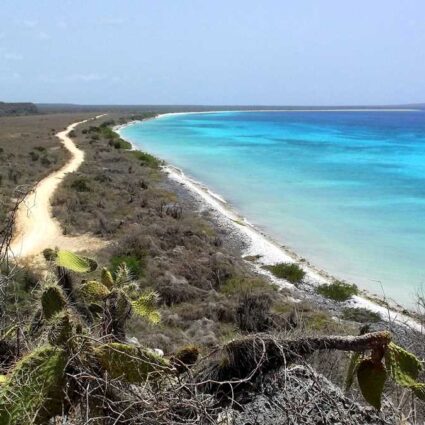 The amazing and gorgeous Bahia de las Aguilas, one of the best beaches in the Dominican Republic